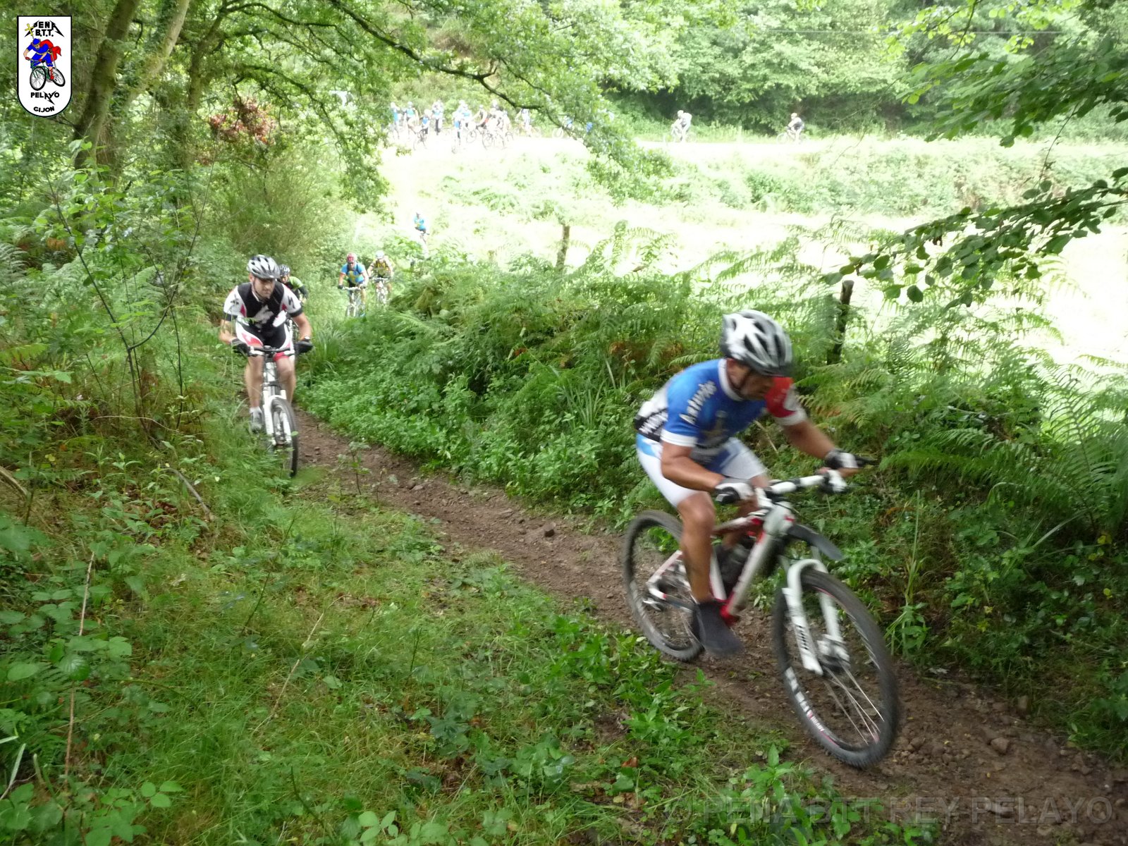 20110709095456_pr.JPG