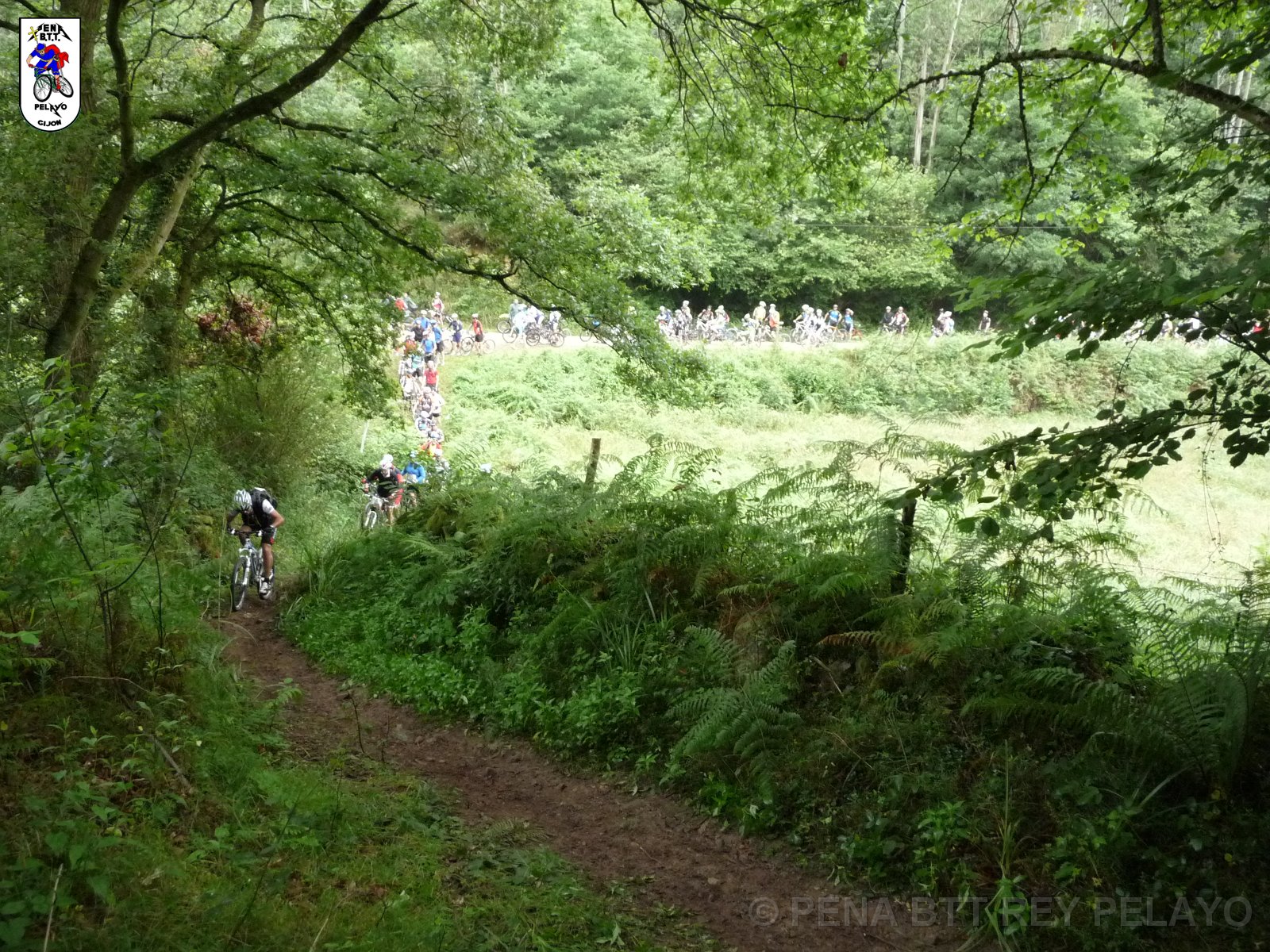 20110709100256_pr.JPG