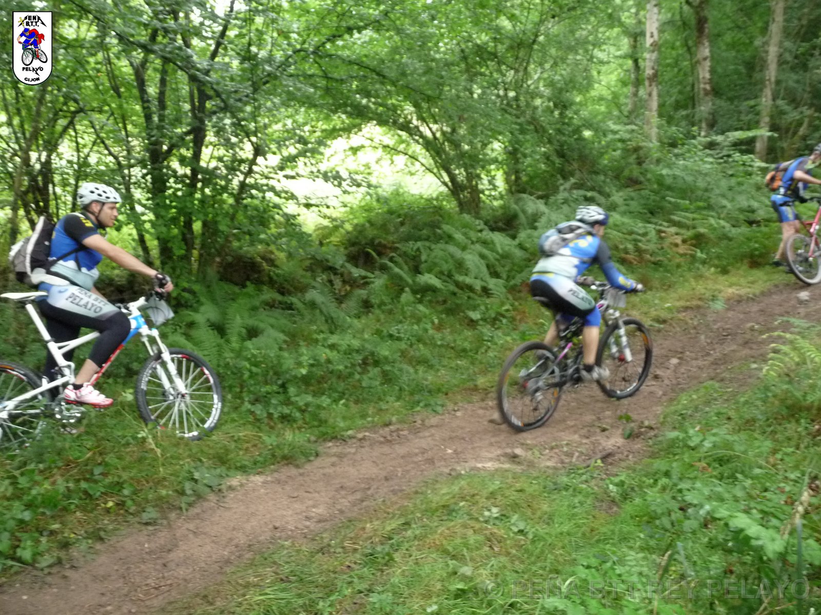 20110709101313_pr.JPG