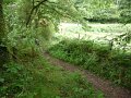 20110709094529_pr