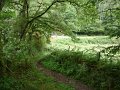 20110709094915_pr
