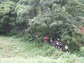 20110709100814_mc