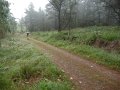 20110709110858_pr