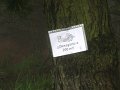 20110709102338_jf