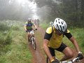 20110709110810_mc