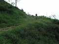 20110709114441_fc