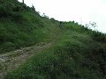 20110709114542_fc