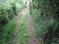 20110709115444_fc