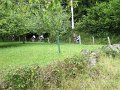 20110709124145_mc