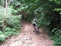 20110709124324_fc