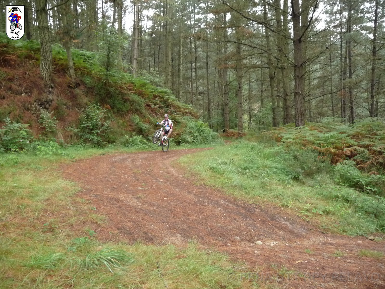 20110709124326_pr.JPG