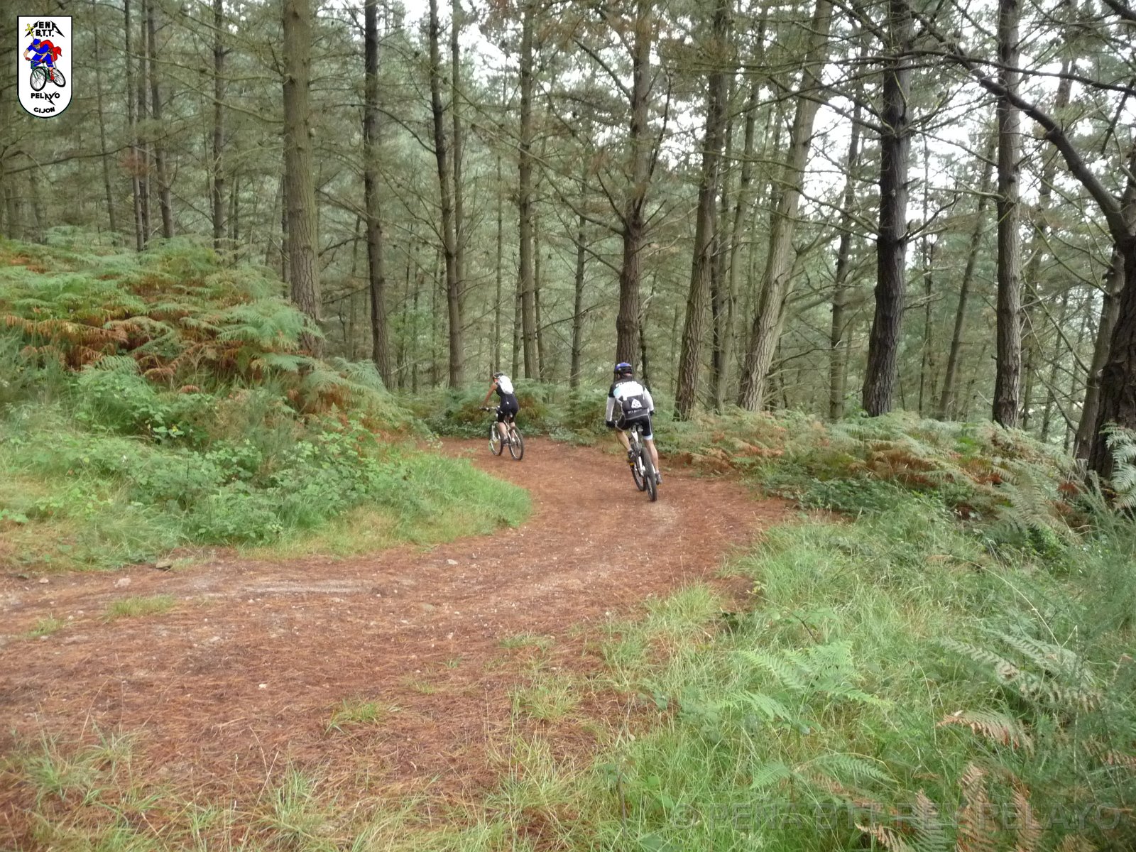 20110709124418_pr.JPG