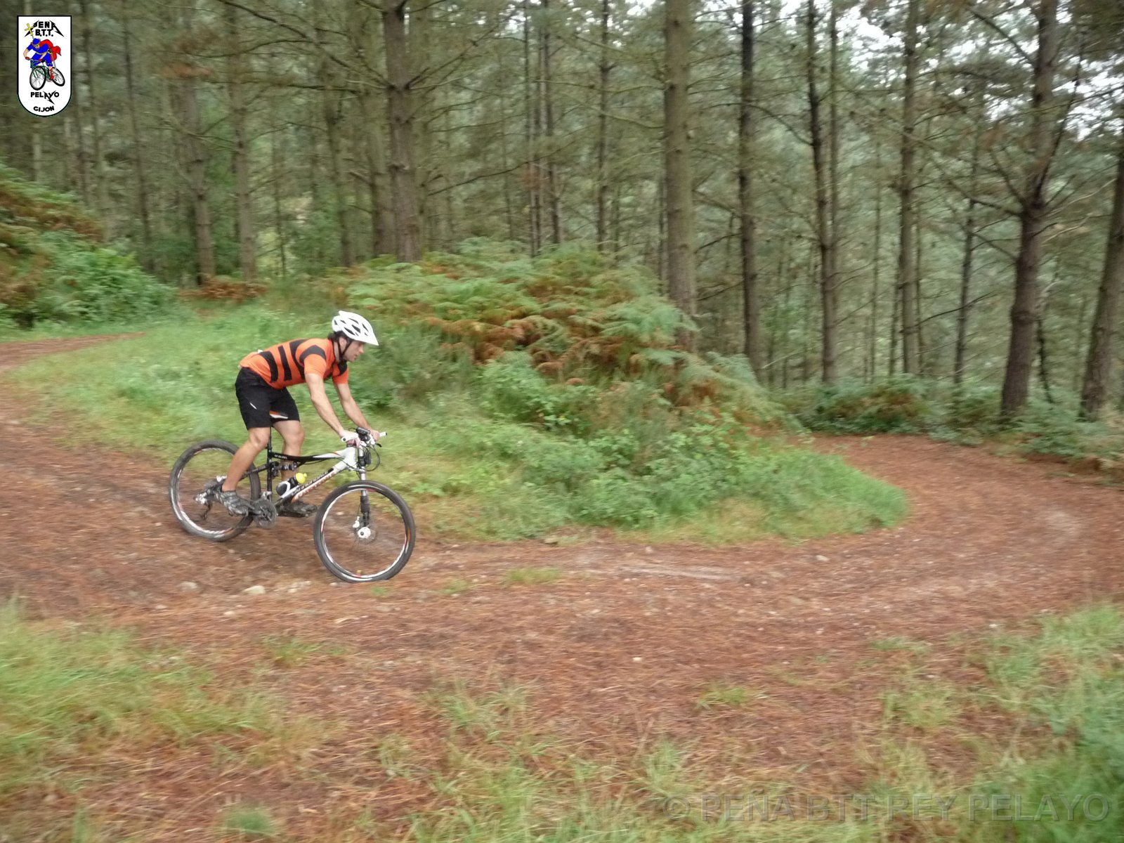 20110709124752_pr.JPG