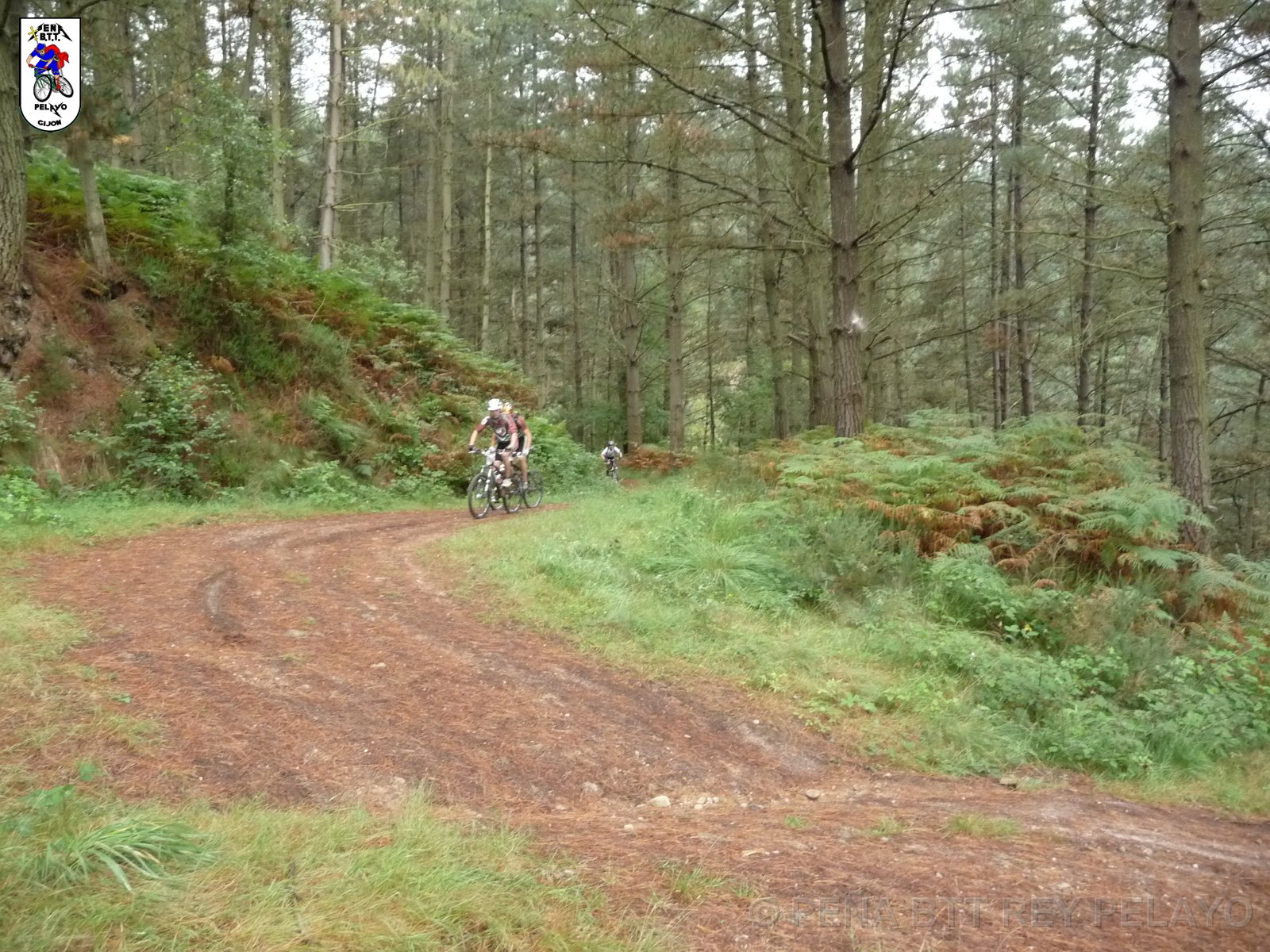 20110709125023_pr.JPG