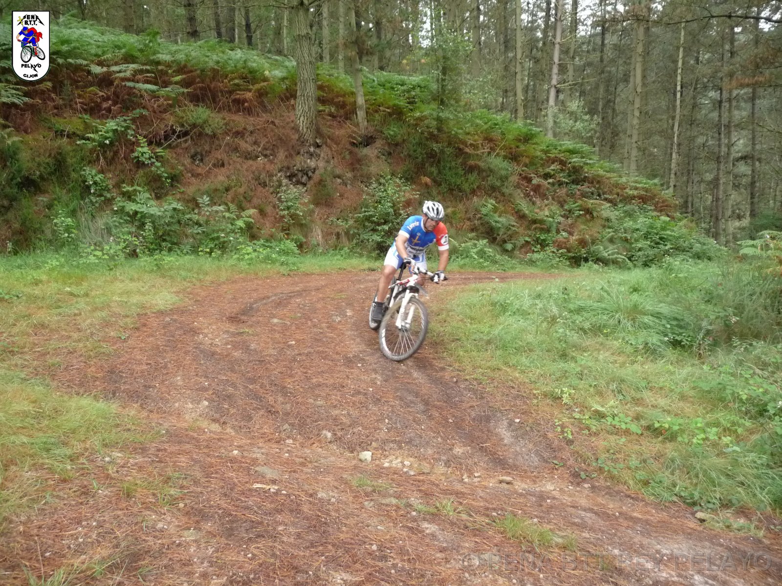 20110709125225_pr.JPG