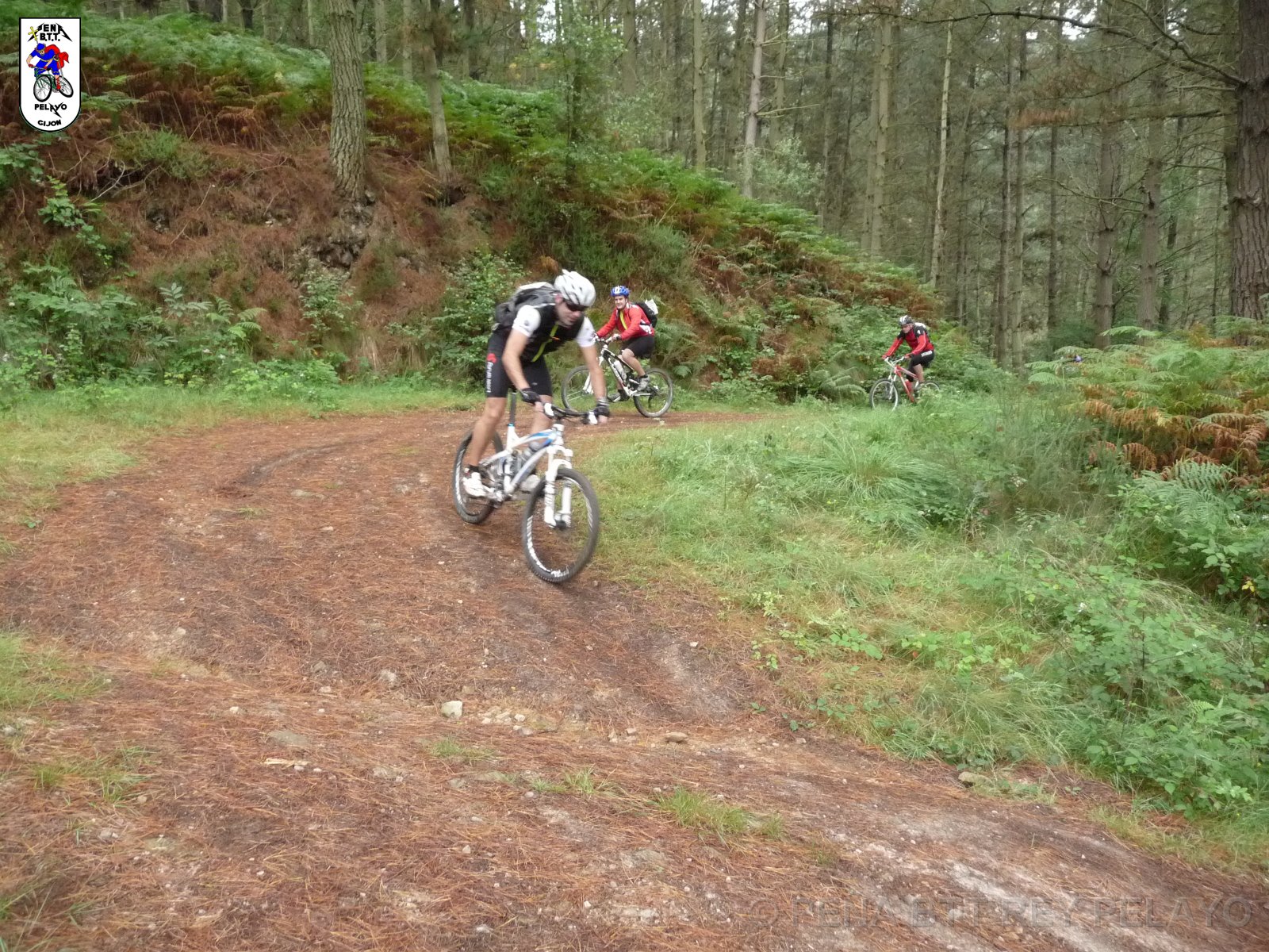 20110709125236_pr.JPG