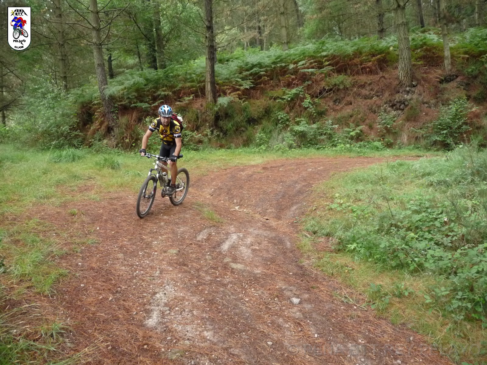 20110709125320_pr.JPG