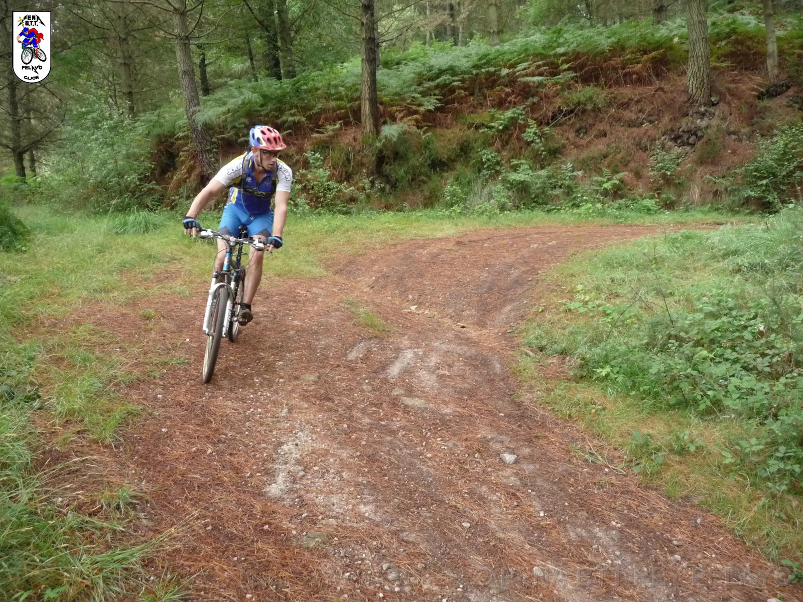 20110709125326_pr.JPG