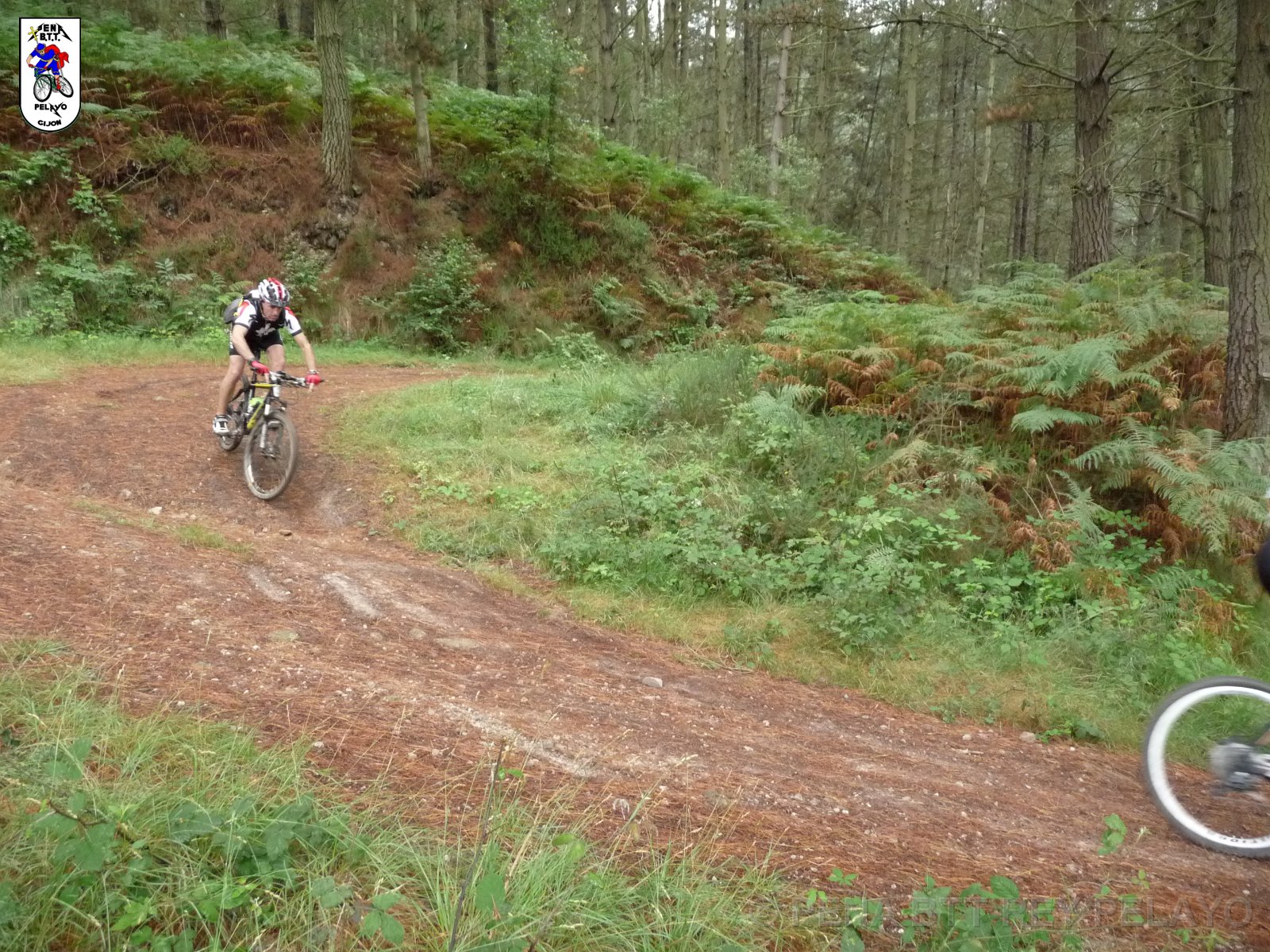 20110709125636_pr.JPG