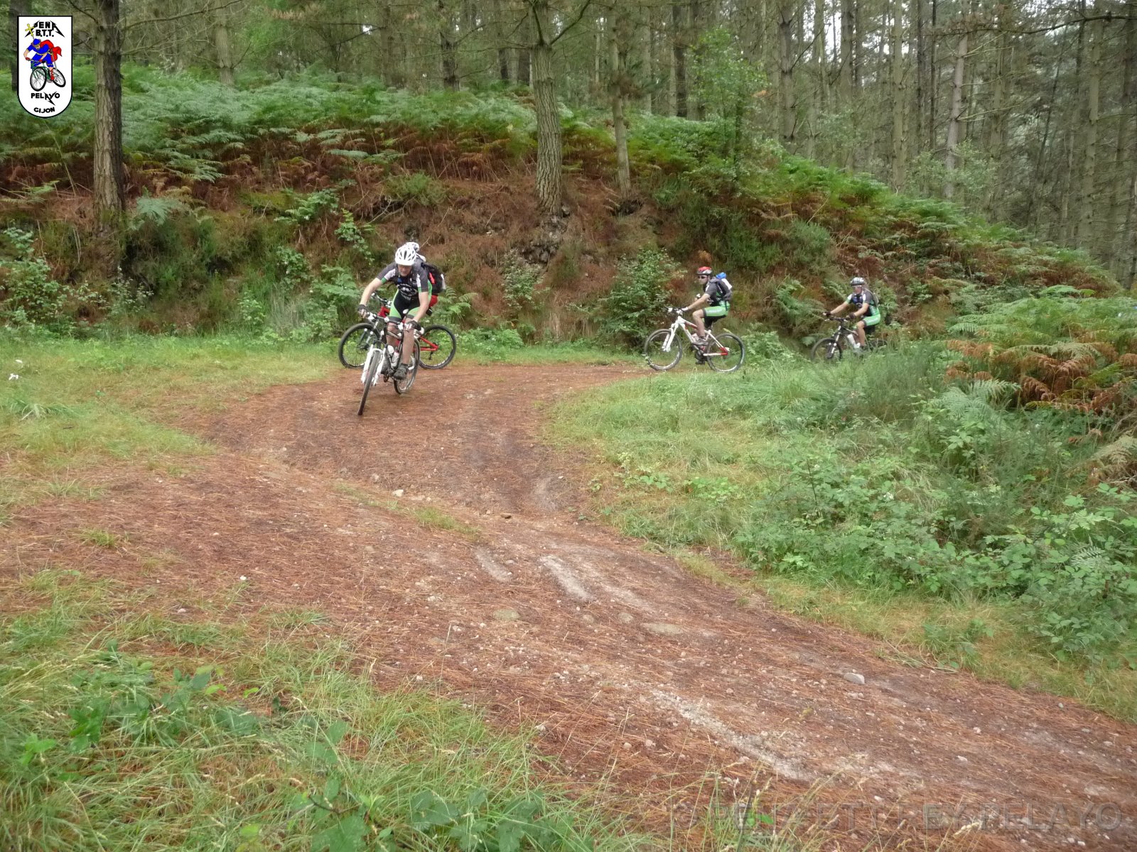 20110709125656_pr.JPG