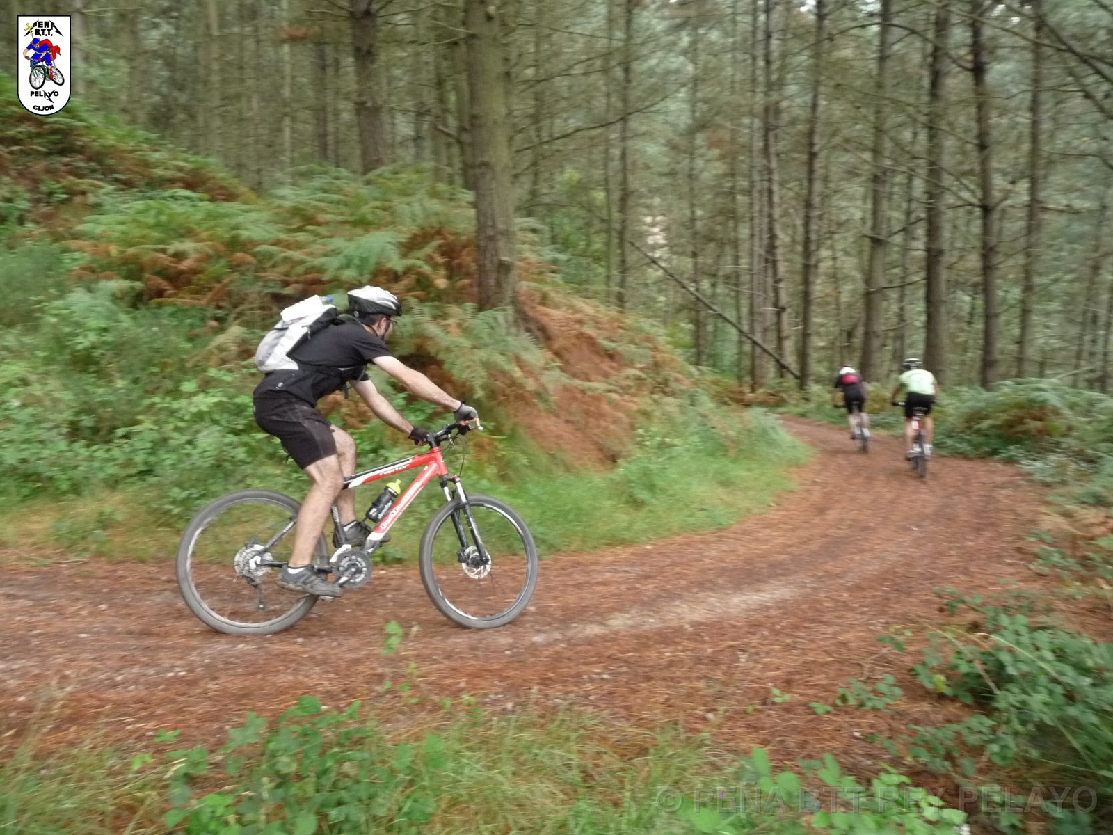 20110709125808_pr.JPG