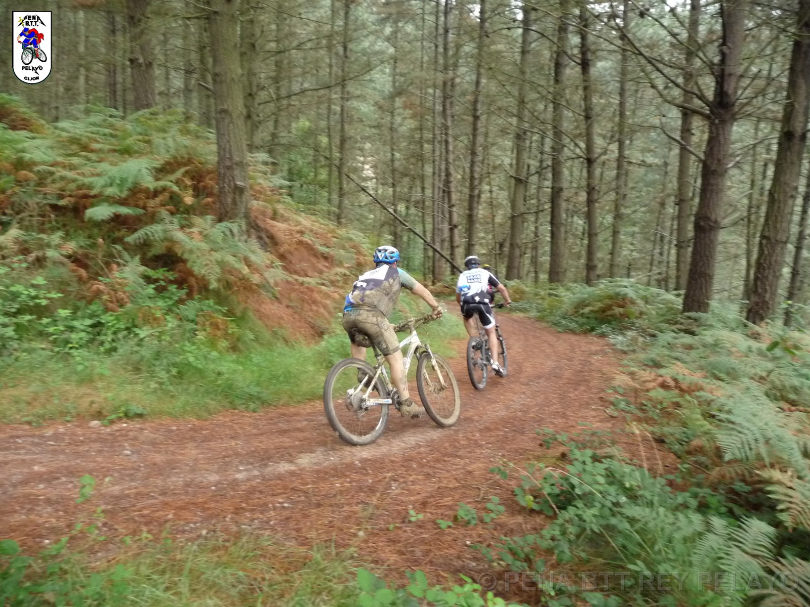 20110709125911_pr.JPG