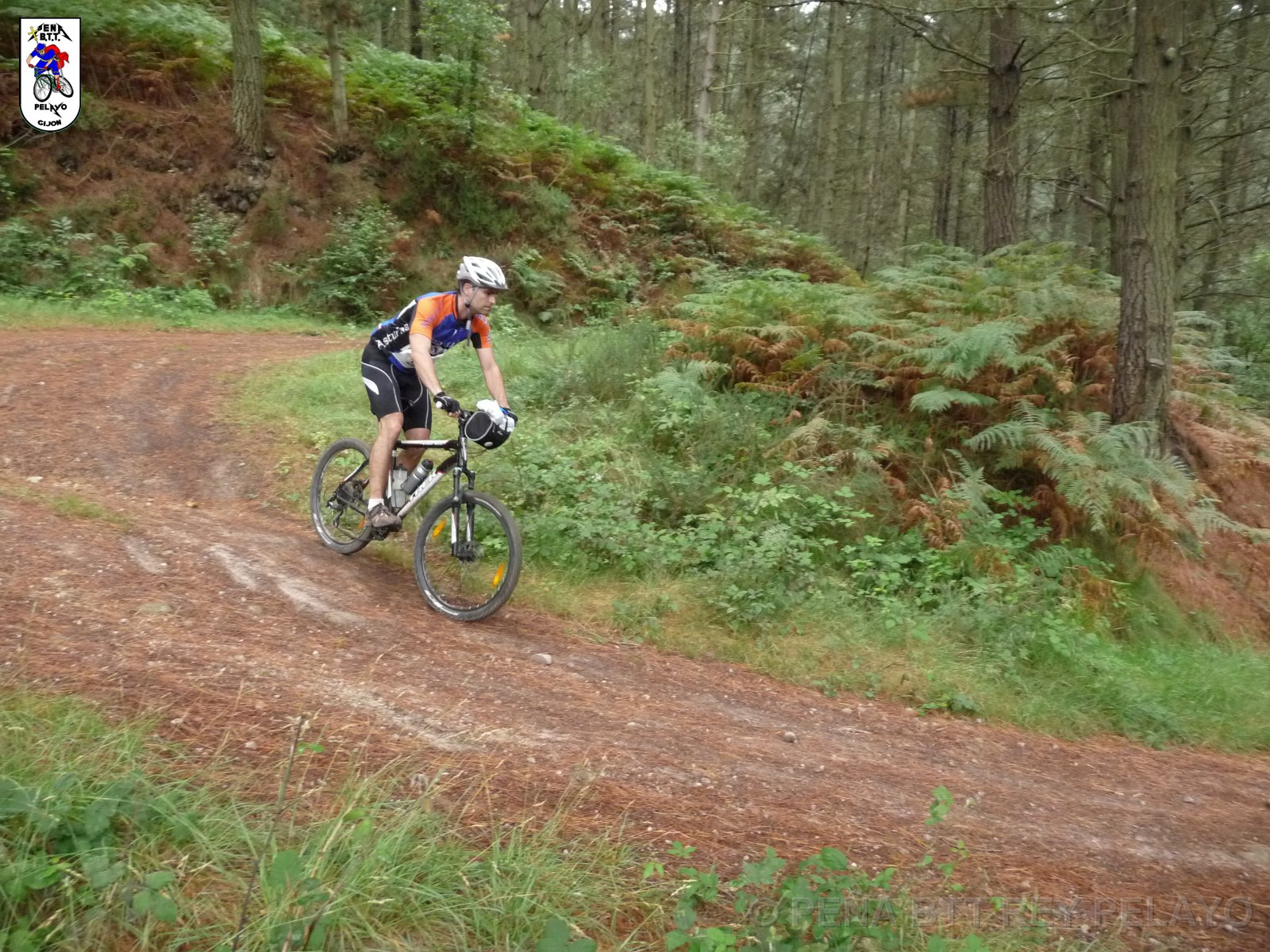 20110709130147_pr.JPG