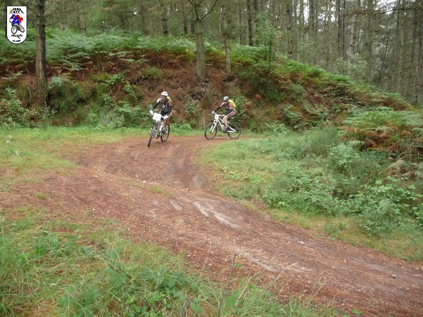 20110709130334_pr.JPG
