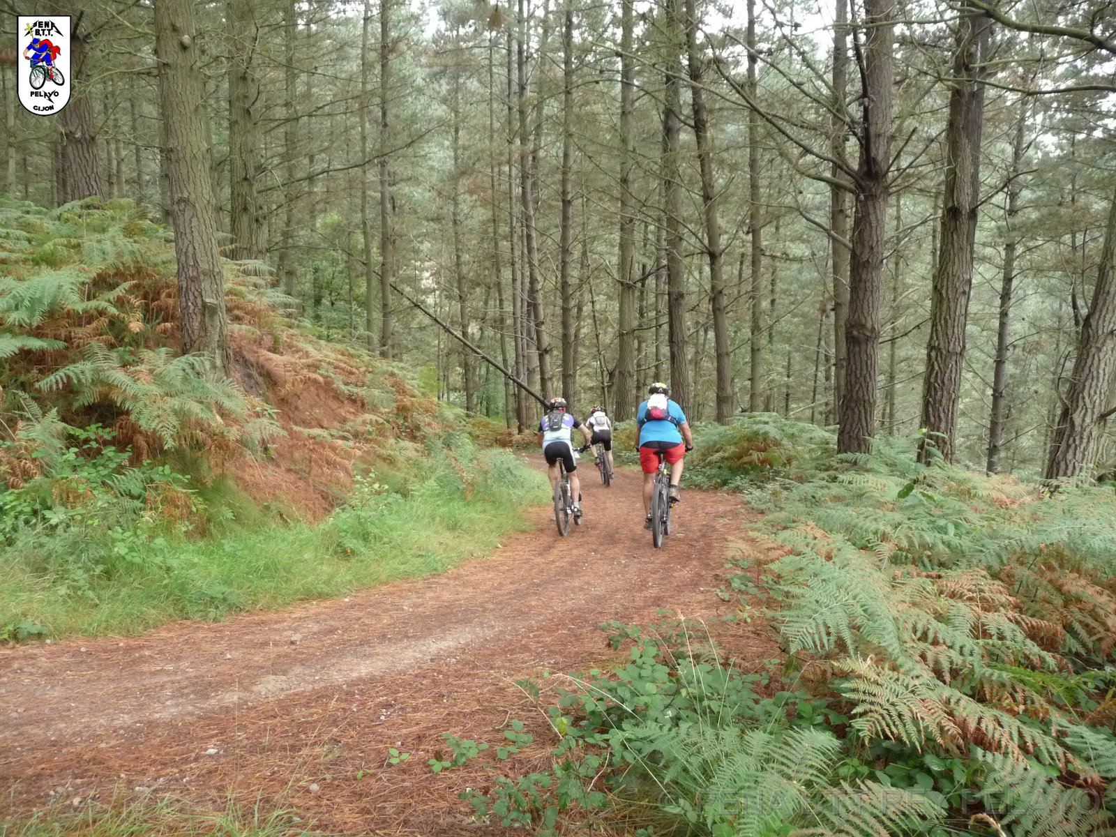 20110709130442_pr.JPG