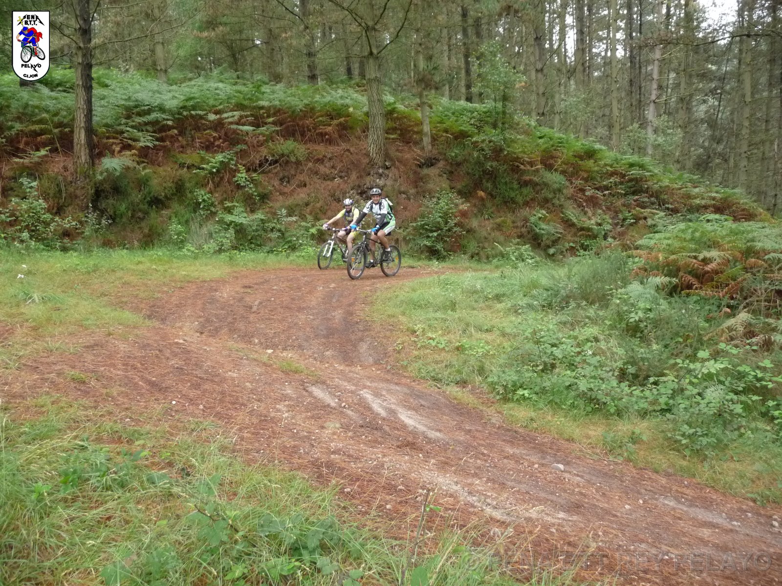 20110709130521_pr.JPG