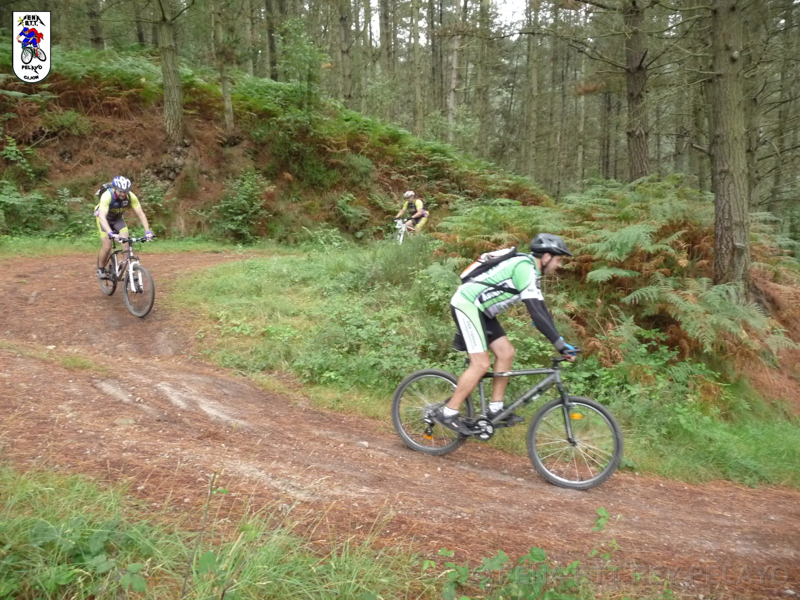 20110709130524_pr.JPG