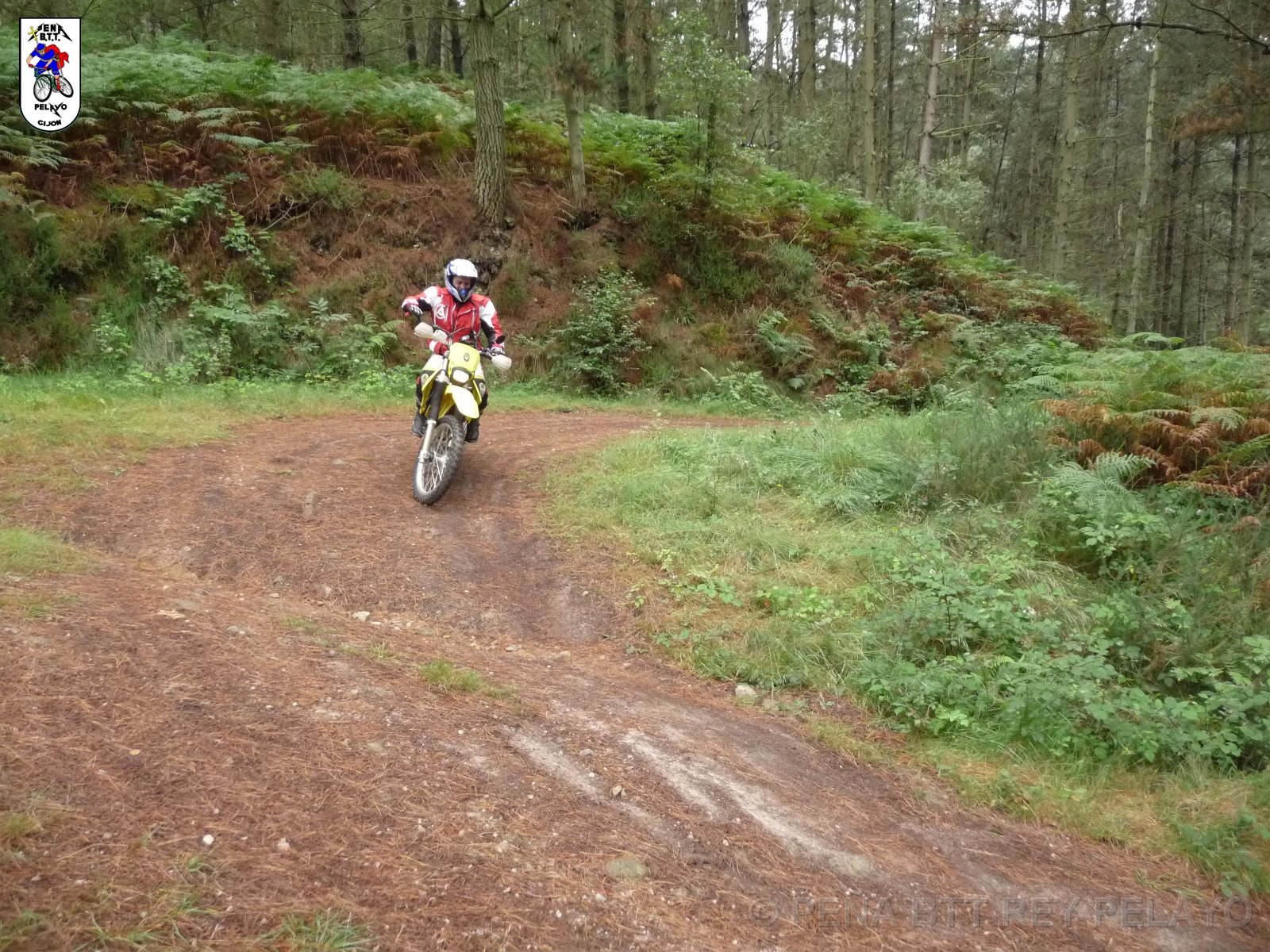 20110709131343_pr.JPG