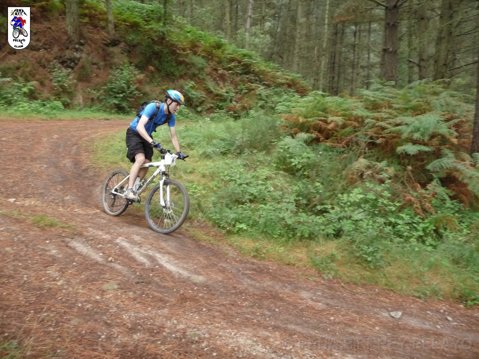 20110709131358_pr.JPG