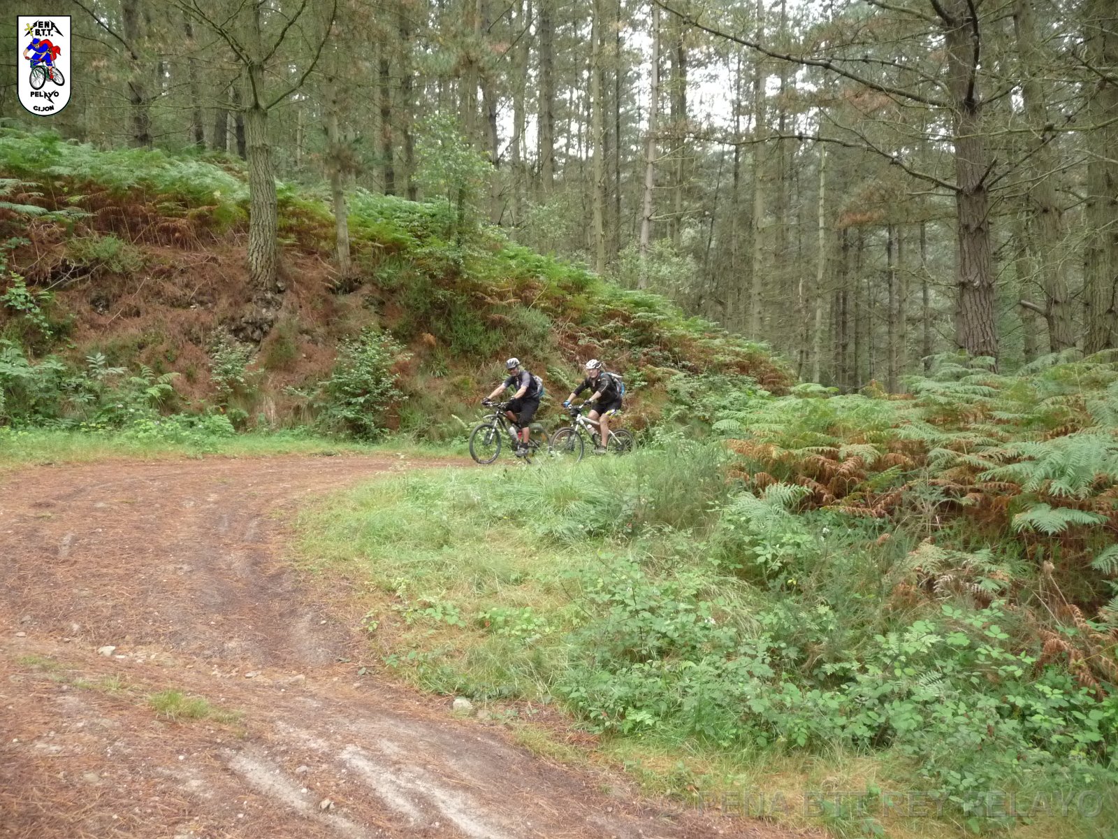 20110709131513_pr.JPG