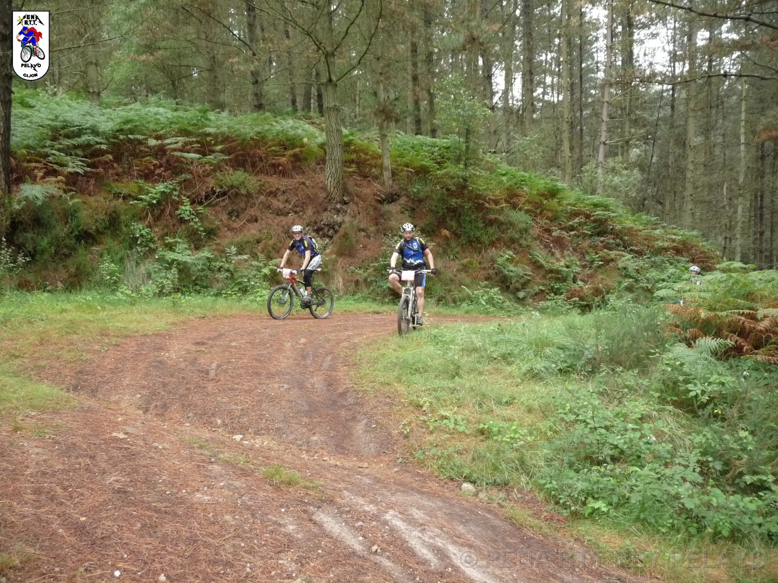 20110709131542_pr.JPG