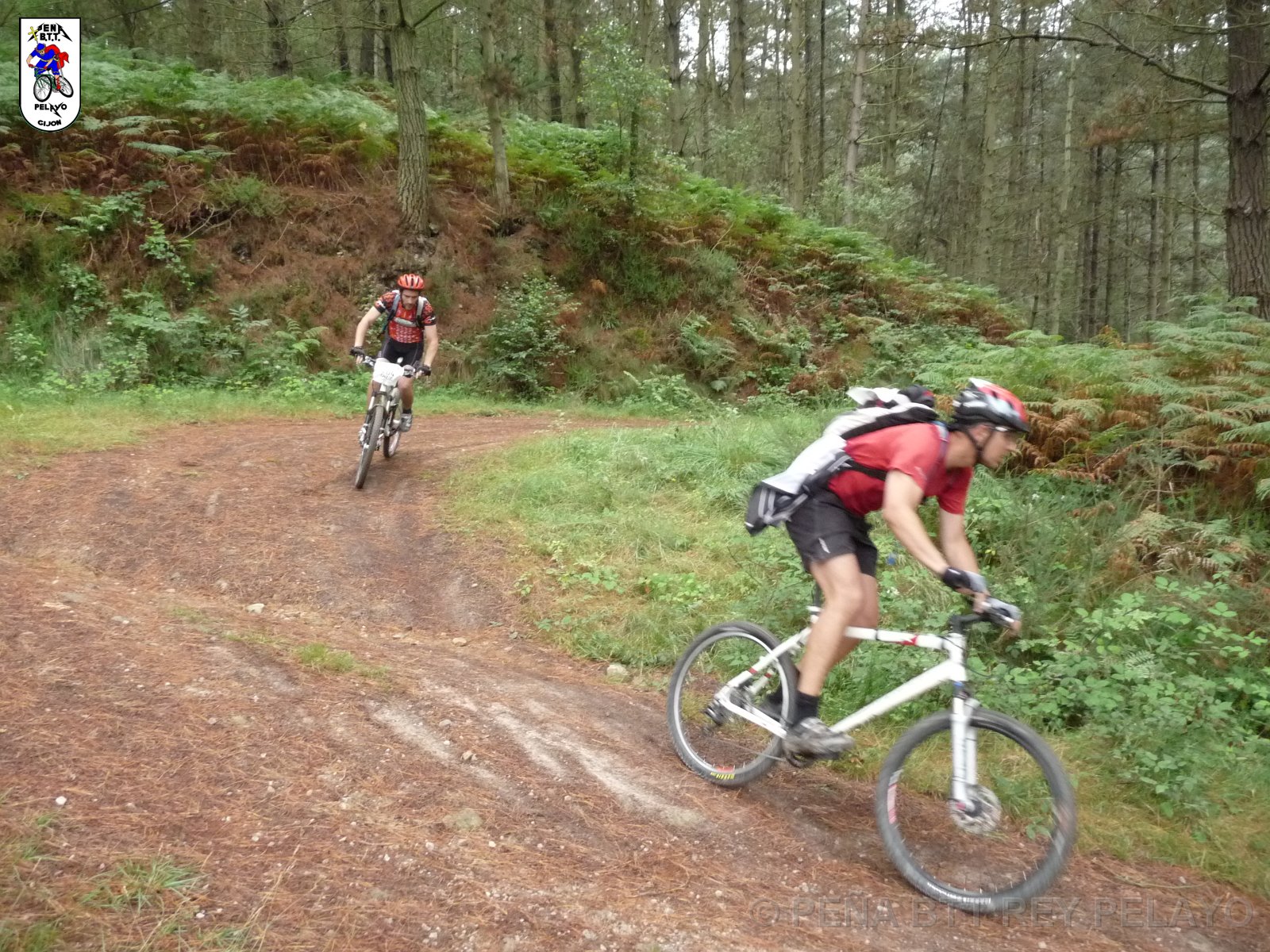 20110709131706_pr.JPG