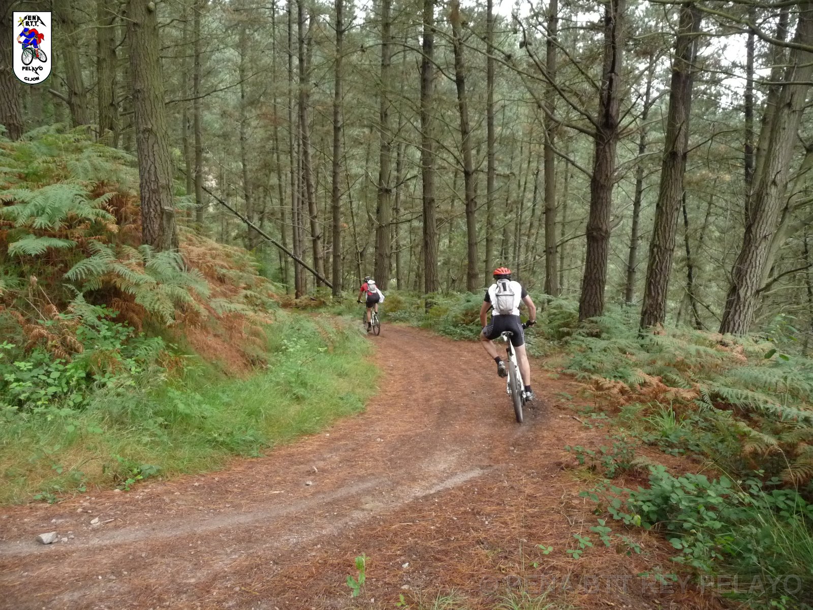20110709131709_pr.JPG