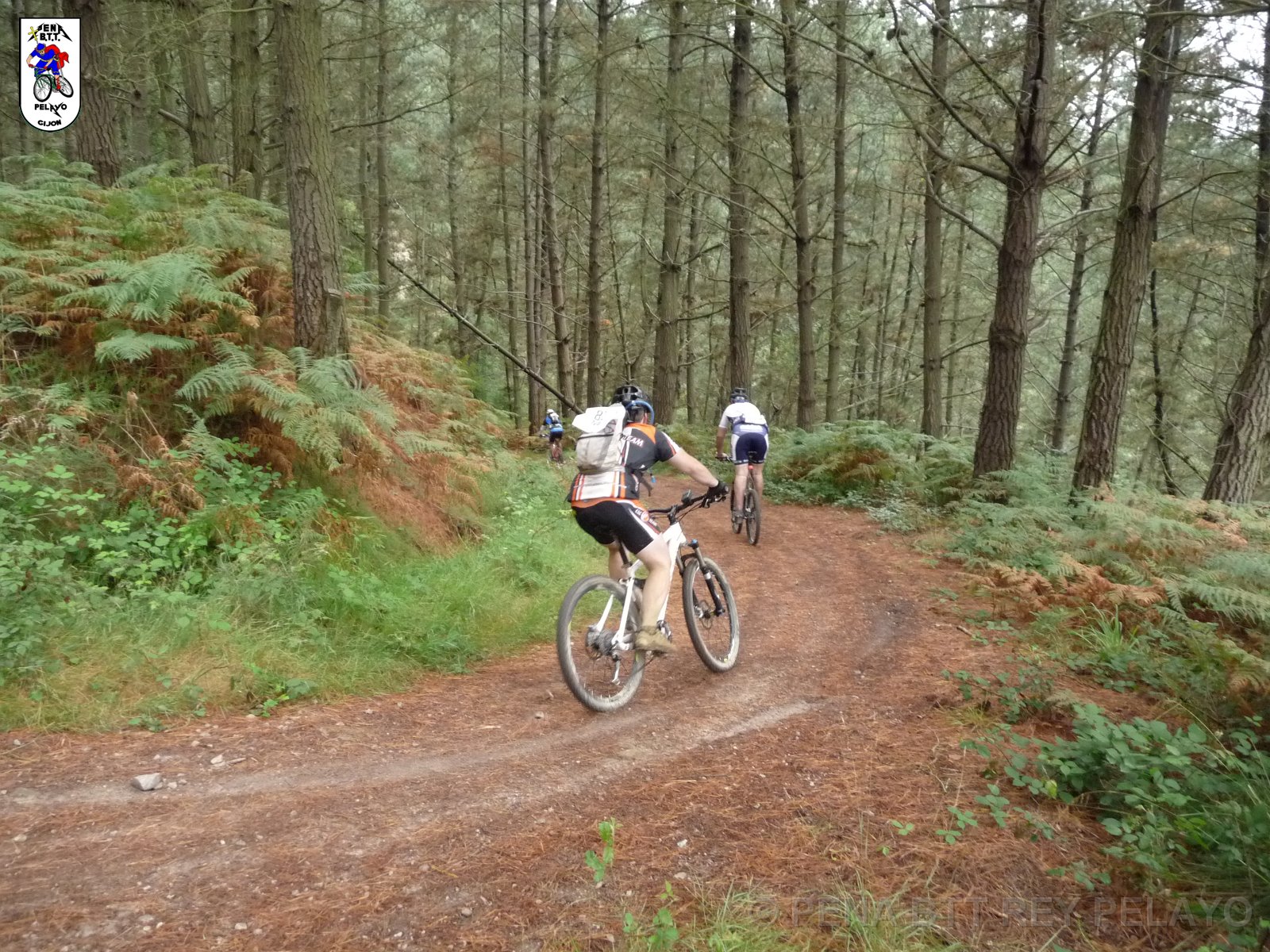 20110709131728_pr.JPG