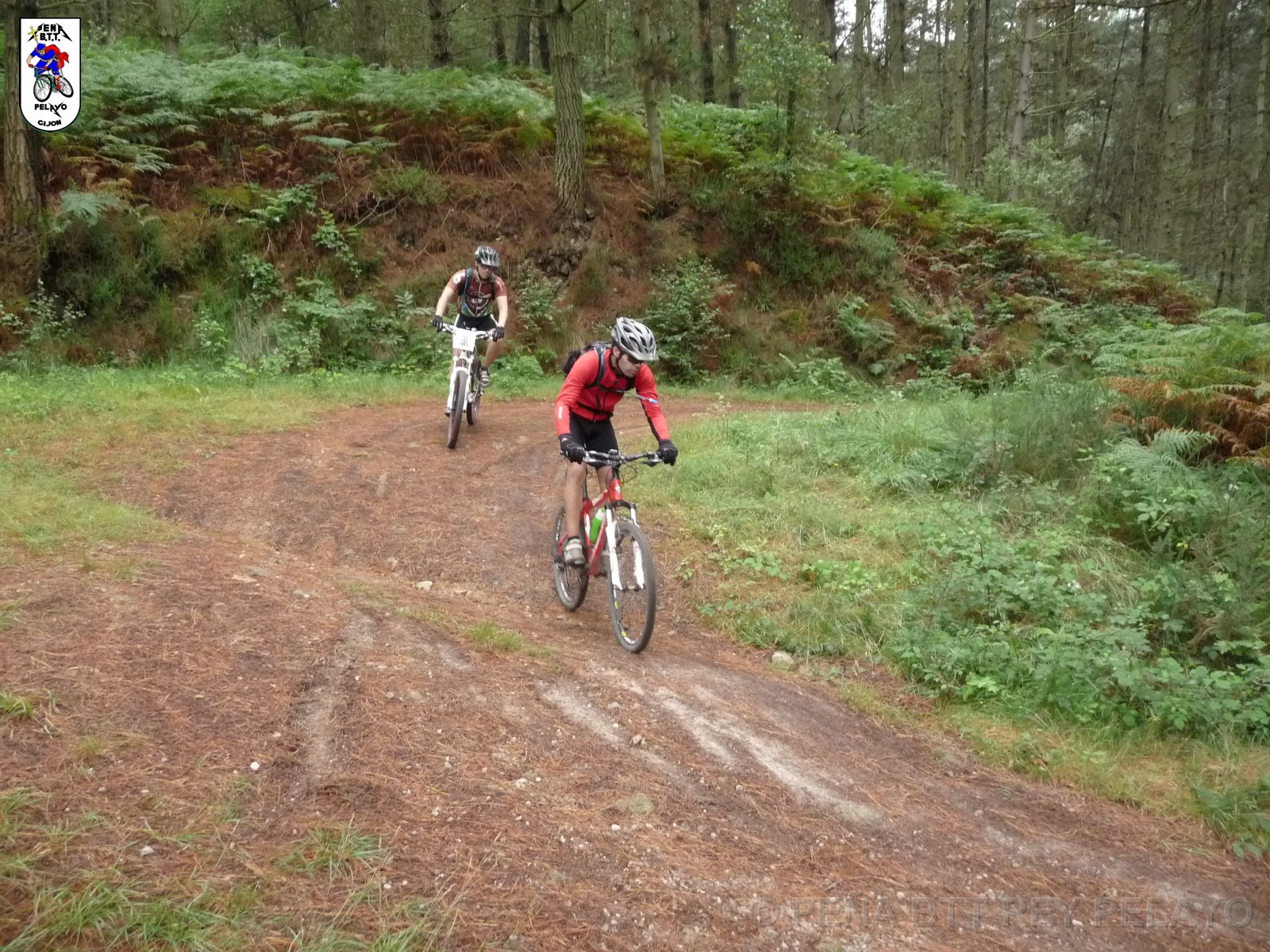 20110709131856_pr.JPG