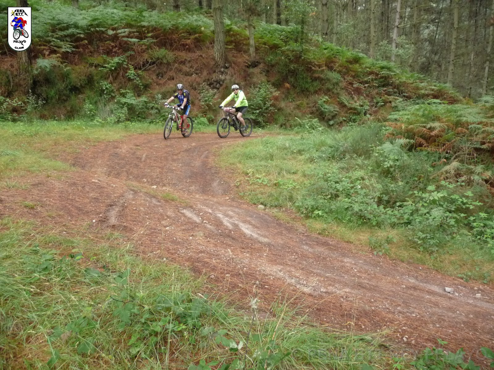 20110709132203_pr.JPG