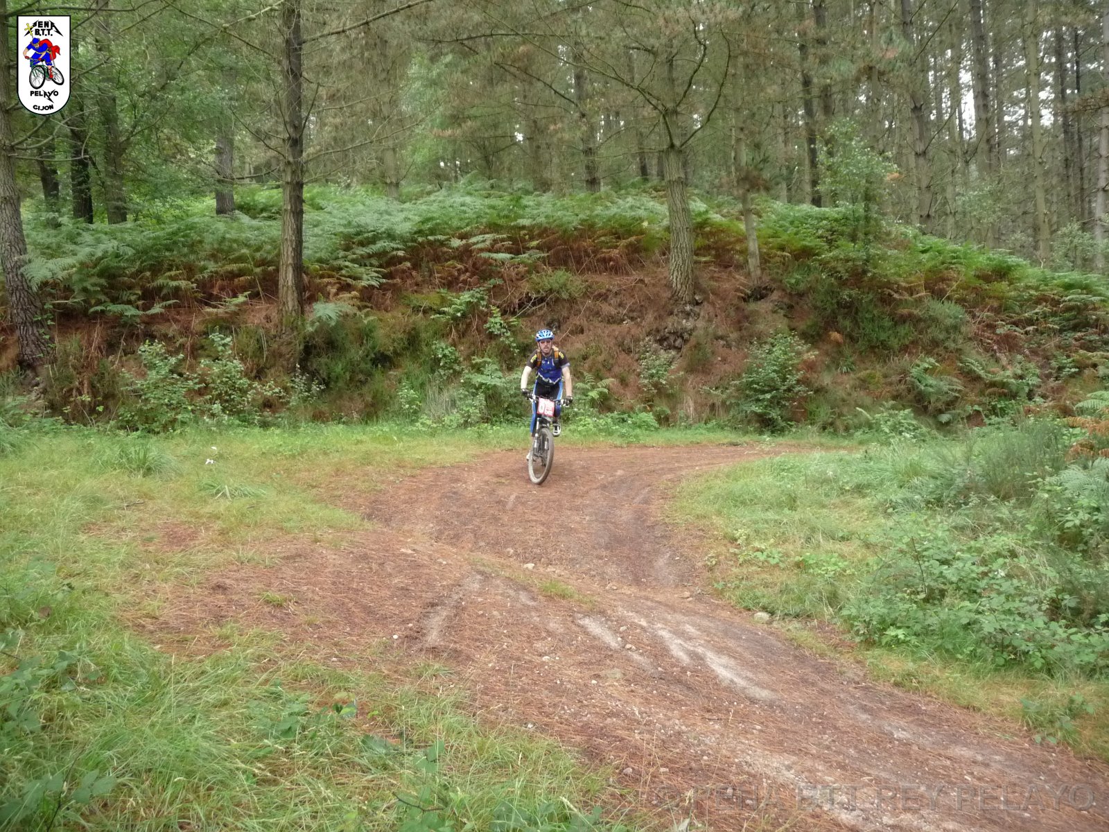 20110709132742_pr.JPG