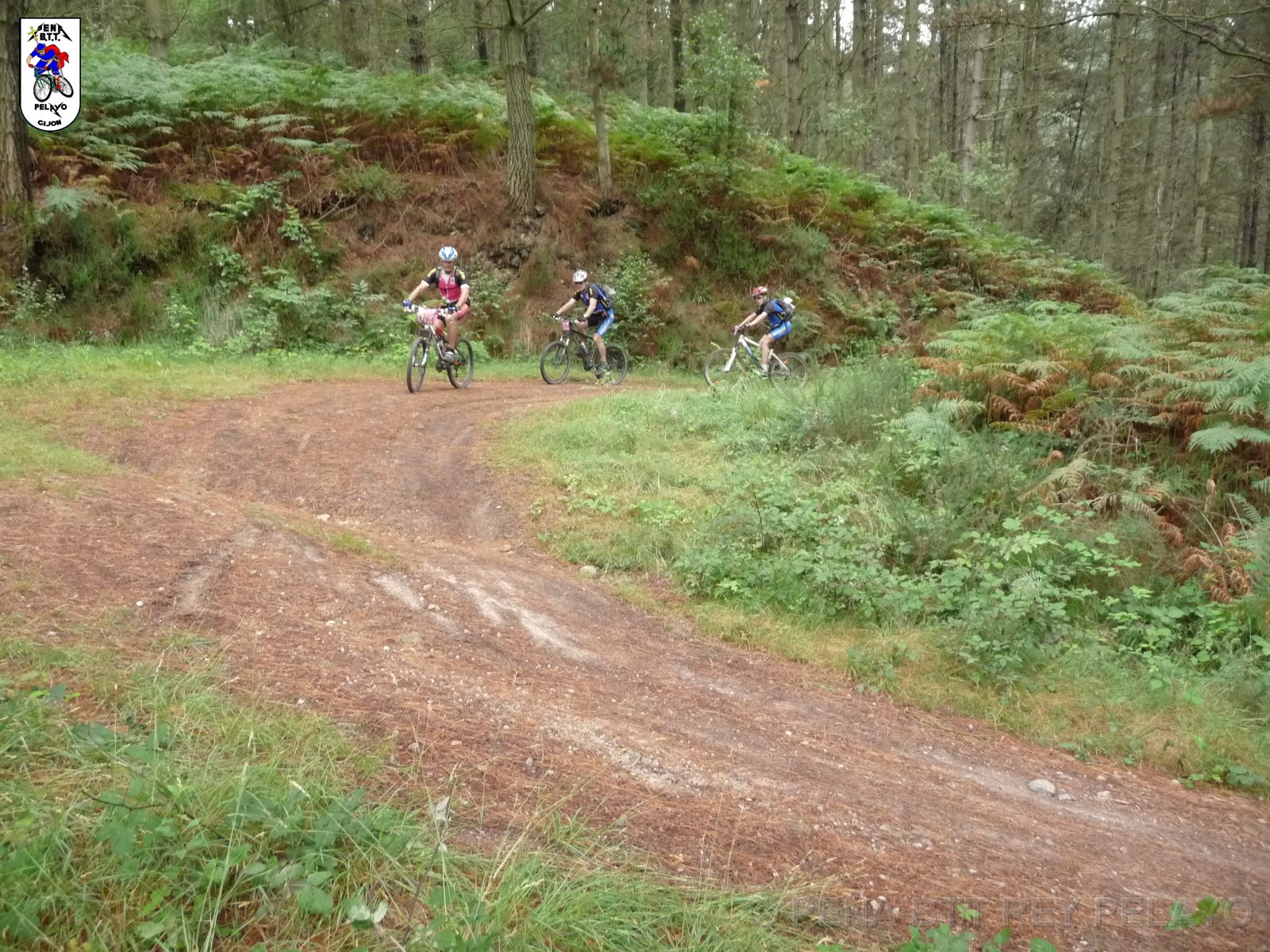 20110709133006_pr.JPG