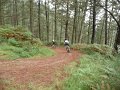 20110709124418_pr