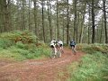 20110709124924_pr