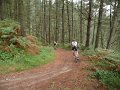 20110709131709_pr