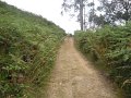 20110709133312_cl