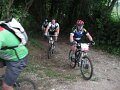 20110709132248_fc