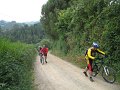 20110709152026_mc