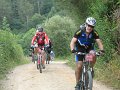 20110709152347_mc