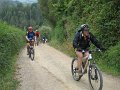 20110709152440_mc